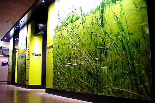 Pack Travel Retail : Découvrir la France